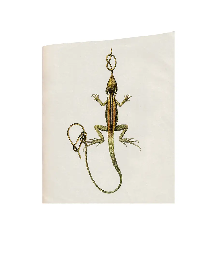 El Polizón. Collage (SEAN MACKAOUI)