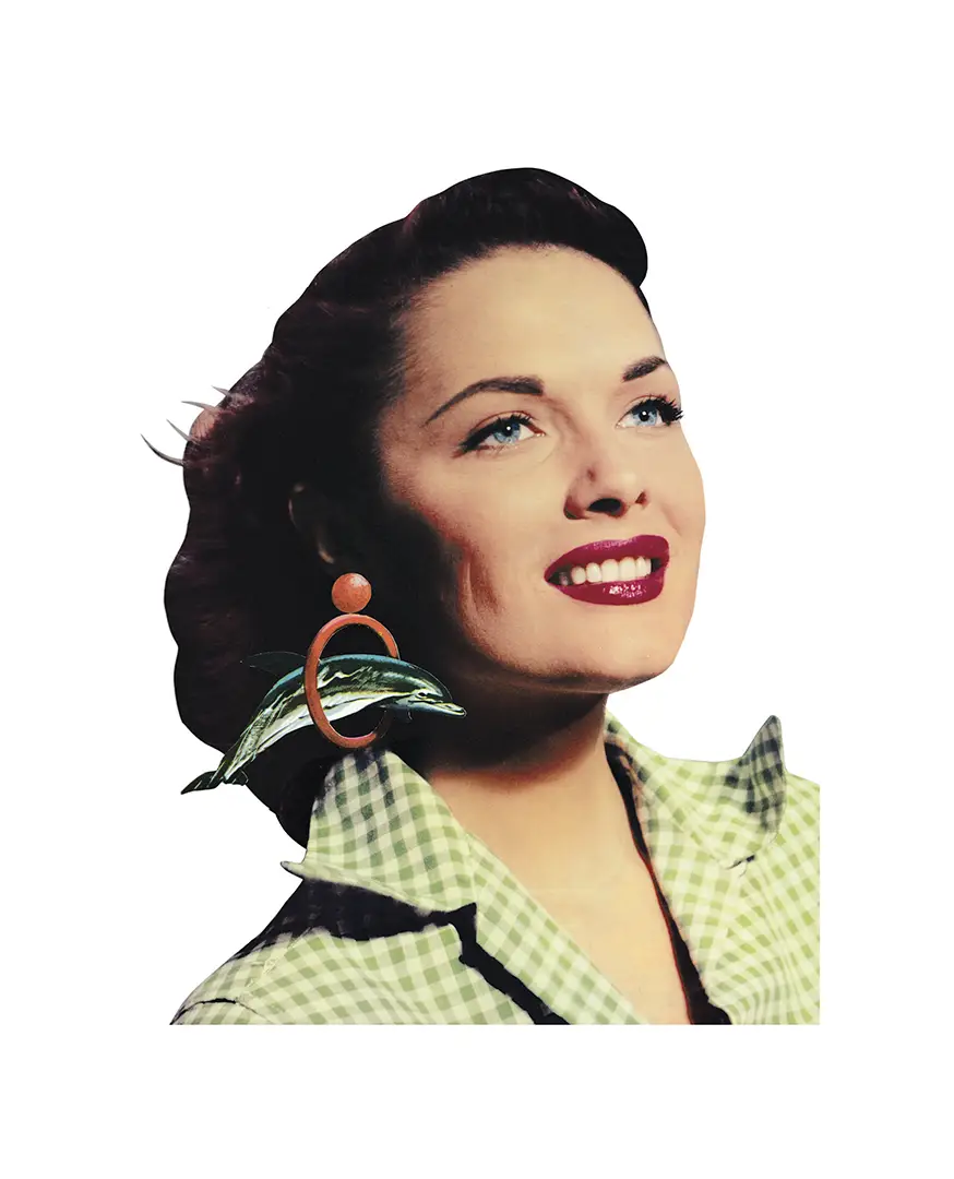 Flipper. Collage (SEAN MACKAOUI)